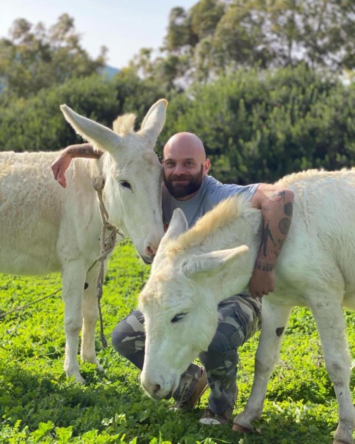 Agriturismo Casa Marmida Pardu Atzei Luaran gambar
